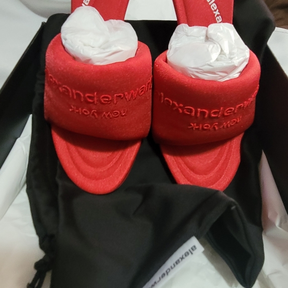 Telfar, gucci Alexander wang , coach Zara - Picture 4 of 9